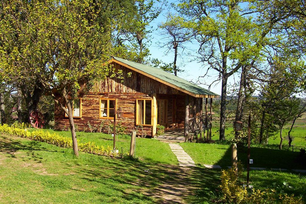 Lodge Mirador Chillán Exterior photo